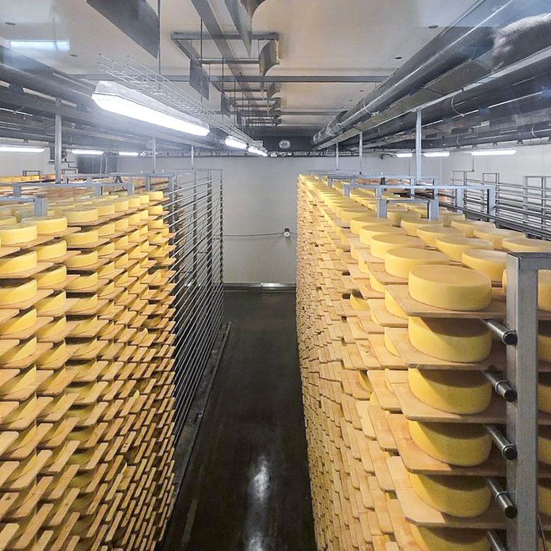 Käse.jpg