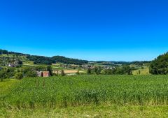 DJI_0087-2.jpg